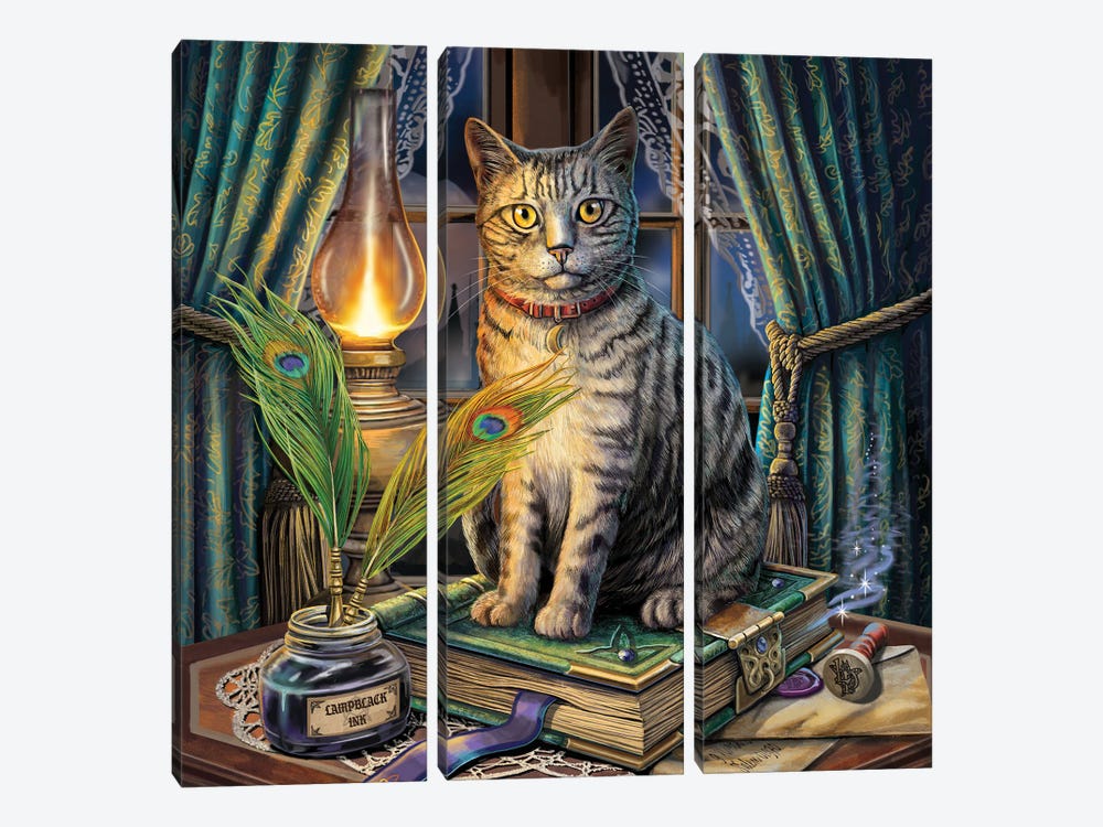 Book Of Shadows by Lisa Parker 3-piece Canvas Art