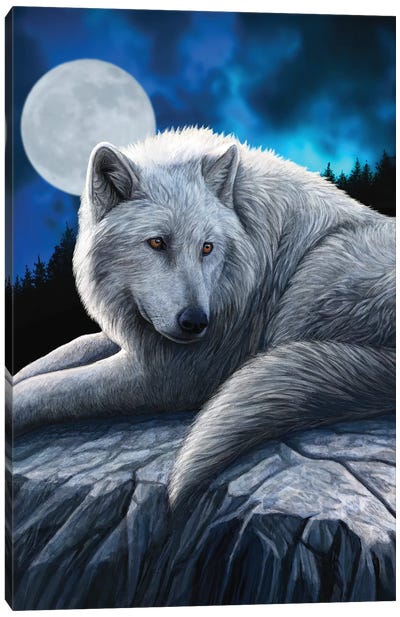Guardian Of The North Canvas Art Print - Lisa Parker