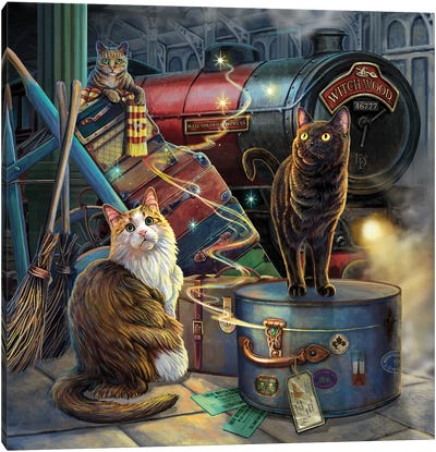 Witchwood Express Canvas Art Print - Witch Art