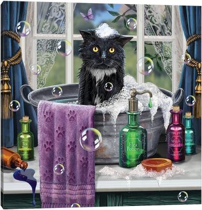 Bath Time Canvas Art Print - Tuxedo Cat Art
