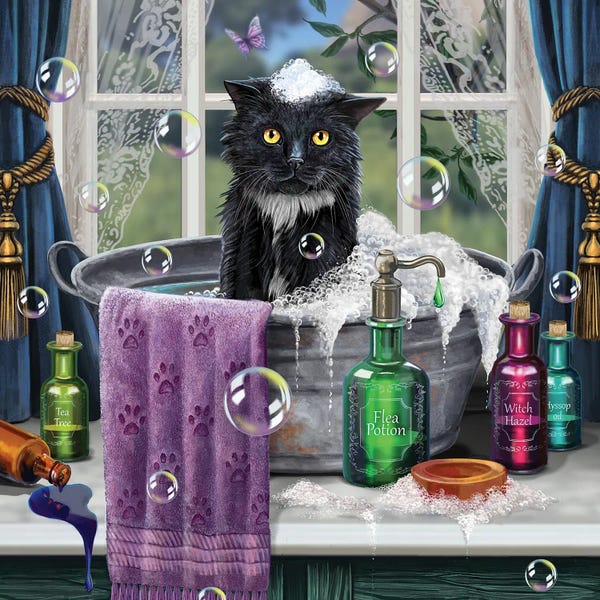 Tuxedo Cats: Bath Time by Lisa Parker