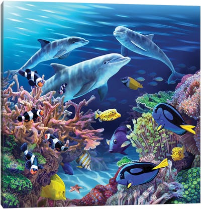 Dolphin Life Canvas Art Print - Dolphin Art
