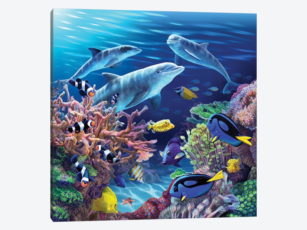 Dolphin Life by Lisa Parker 1-piece Canvas Wall Art