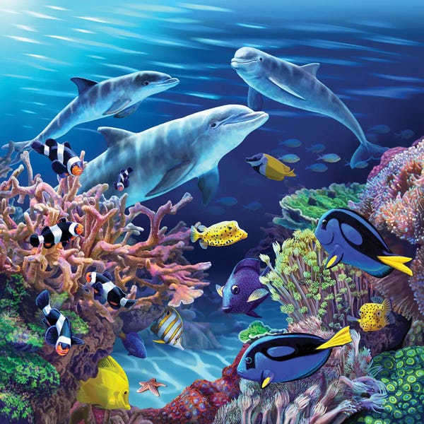 Dolphins: Dolphin Life by Lisa Parker