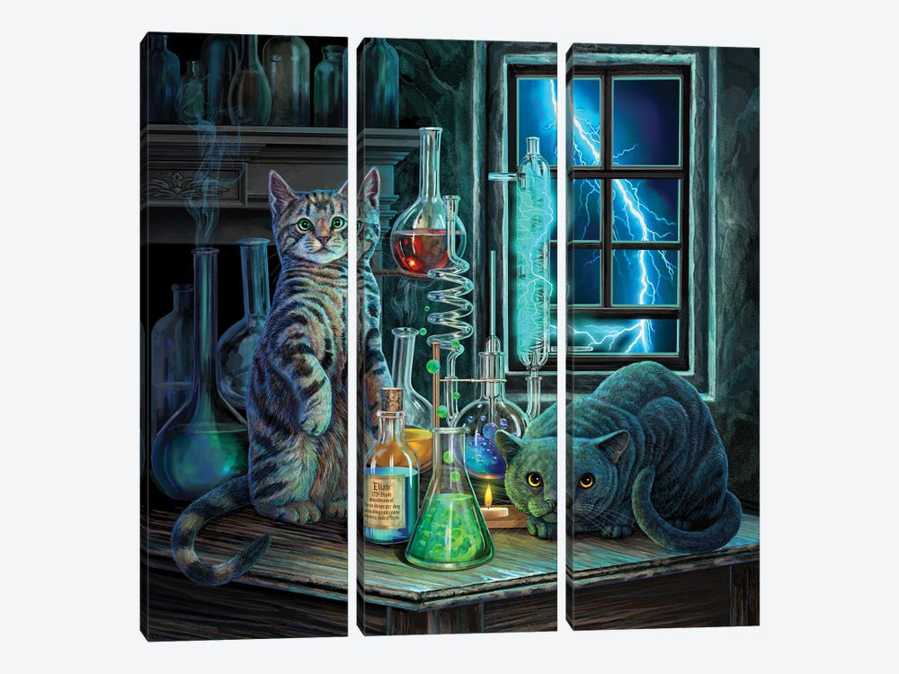 Jekyll And Hyde by Lisa Parker 3-piece Canvas Print