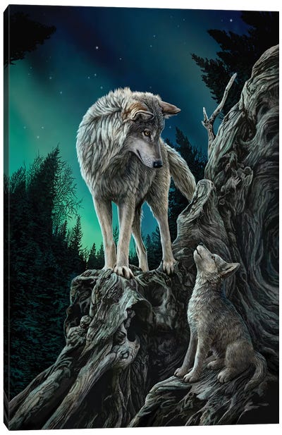 Guidance Canvas Art Print - Wolf Art