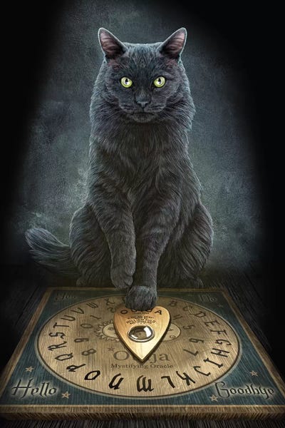 Black Cats: His Master's Voice by Lisa Parker