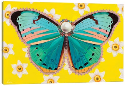 Butterfly With Daffodils Canvas Art Print