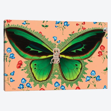 Butterfly With Sweet Peas Canvas Print #LPF18} by Liva Pakalne Fanelli Canvas Wall Art