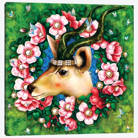 Antilope Canvas Print #LPF2} by Liva Pakalne Fanelli Canvas Art Print