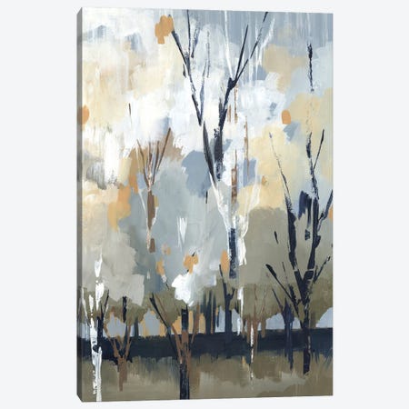 Silversong Birch I Canvas Print #LPI19} by Lera Canvas Art Print
