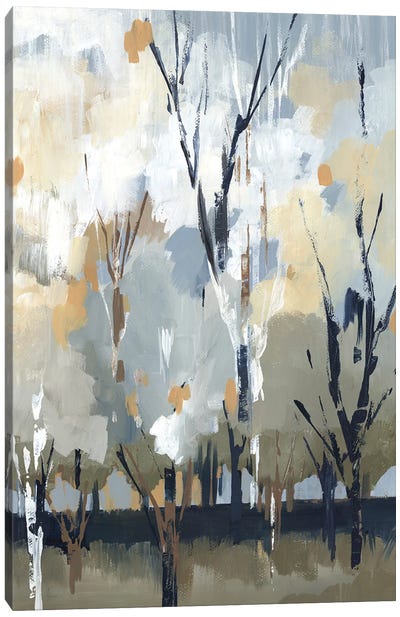 Silversong Birch I Canvas Art Print - Calm & Sophisticated Living Room Art