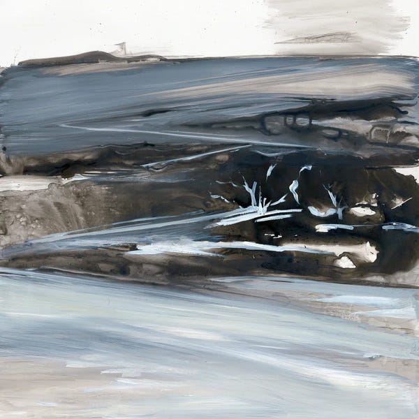 Bleak Winter Landscape With Trees