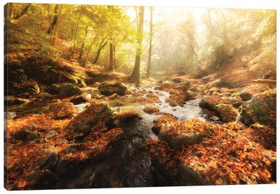 Autumn Journey Canvas Art Print - 1x Collection