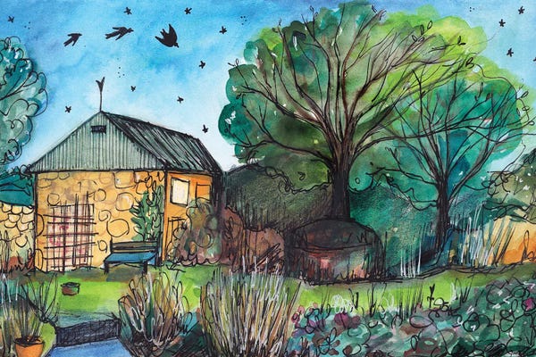 Martins & Swallows: Barn Swallows by Tamara Laporte