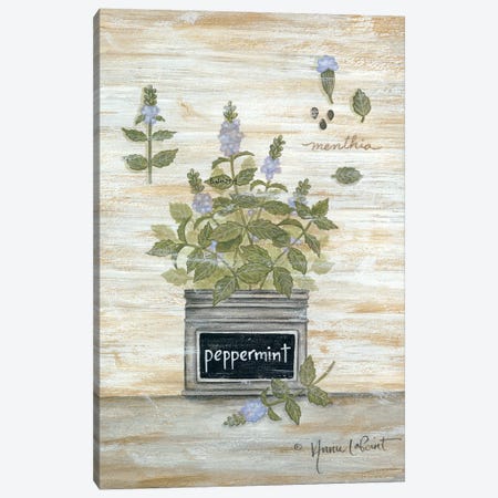 Peppermint Botanical Canvas Print #LPT16} by Annie LaPoint Canvas Print
