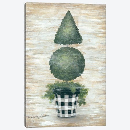 Gingham Topiary Cone Canvas Print #LPT4} by Annie LaPoint Art Print