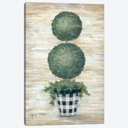 Gingham Topiary Spheres Canvas Print #LPT5} by Annie LaPoint Canvas Art Print