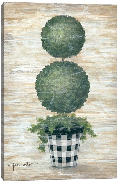 Gingham Topiary Spheres Canvas Art Print - Annie LaPoint