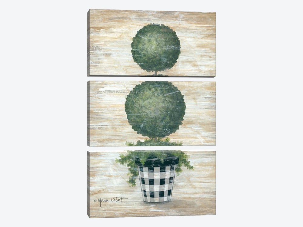 Gingham Topiary Spheres by Annie LaPoint 3-piece Canvas Wall Art