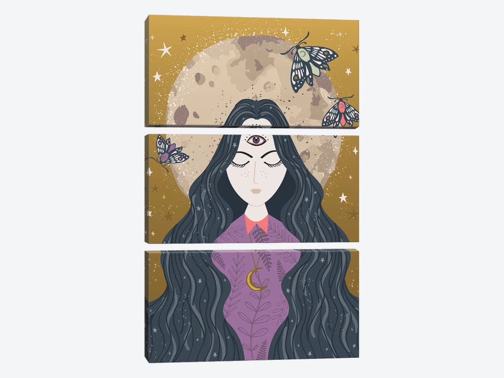 Spirit Guide II by Lisa Perry 3-piece Canvas Print