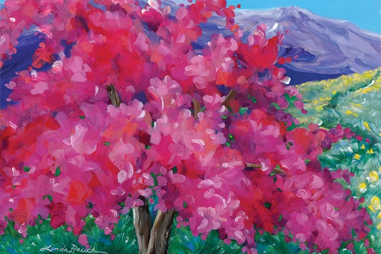 Crimson Crabapple Tree