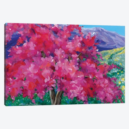 Crimson Crabapple Tree Canvas Print #LRA12} by Linda Rauch Canvas Artwork