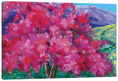 Crimson Crabapple Tree Canvas Art Print - Linda Rauch