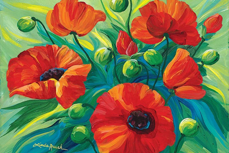 Oriental Poppies