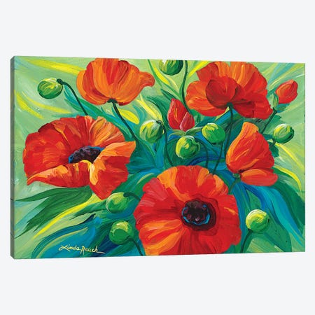 Oriental Poppies Canvas Print #LRA33} by Linda Rauch Canvas Art