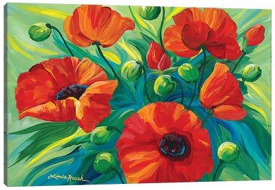 Oriental Poppies Canvas Art Print