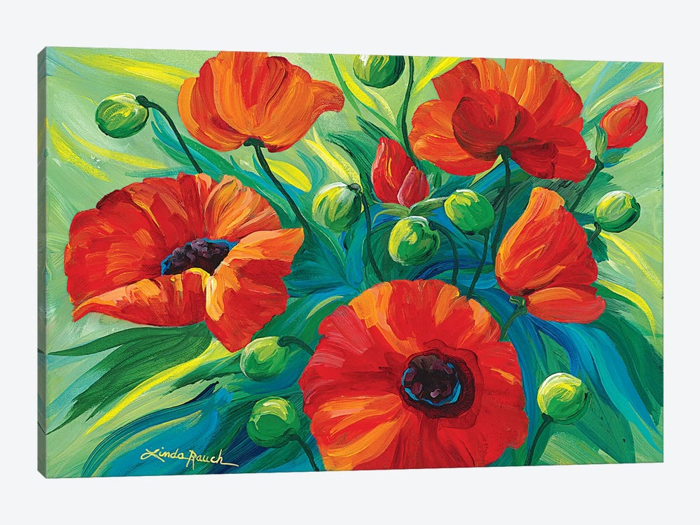 Oriental Poppies by Linda Rauch 1-piece Canvas Art Print