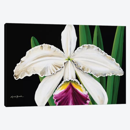 White Orchid Canvas Print #LRA47} by Linda Rauch Canvas Art