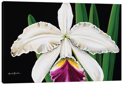 White Orchid Canvas Art Print - Linda Rauch