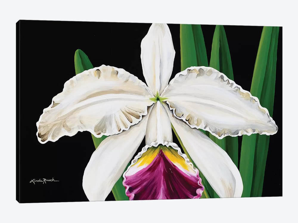 White Orchid by Linda Rauch 1-piece Canvas Artwork