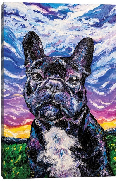 French Bulldog Canvas Art Print - Larisa Chigirina