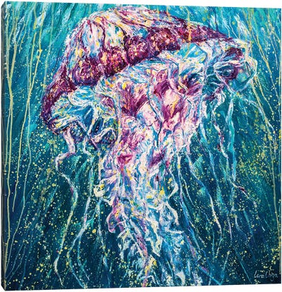 Jelly Fish Canvas Art Print - Larisa Chigirina