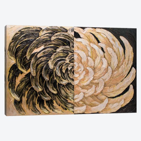 Feathers Canvas Print #LRC42} by Larisa Chigirina Art Print