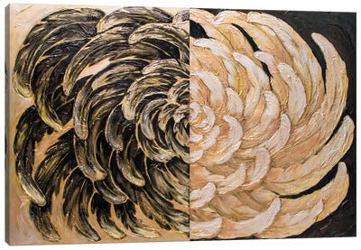 Feathers Canvas Art Print - Larisa Chigirina