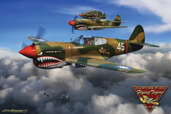 Vintage Décor: P-40 Flying Tiger.jpeg by Larry Grossman