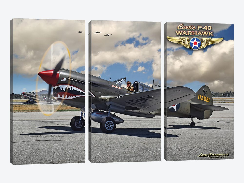 P-40 Warhawk by Larry Grossman 3-piece Canvas Artwork