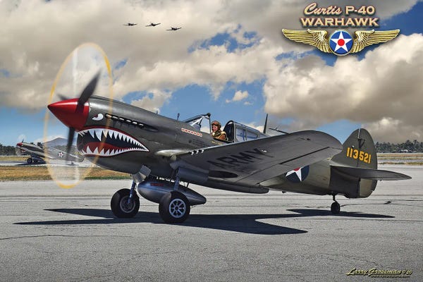 Larry Grossman: P-40 Warhawk by Larry Grossman