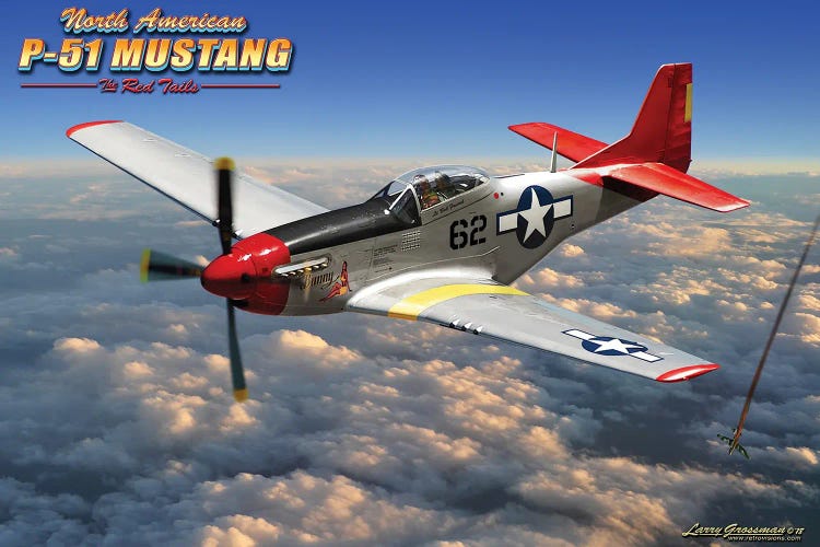 P-51 Mustang by Larry Grossman wall art