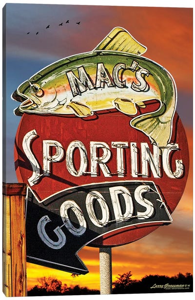 Sporting Goods Canvas Art Print - Larry Grossman
