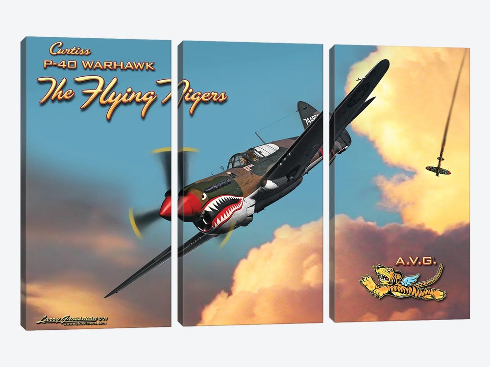 Flying Tiger by Larry Grossman 3-piece Canvas Wall Art