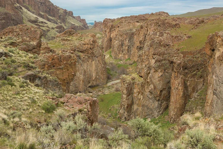 Succor Creek Canyon