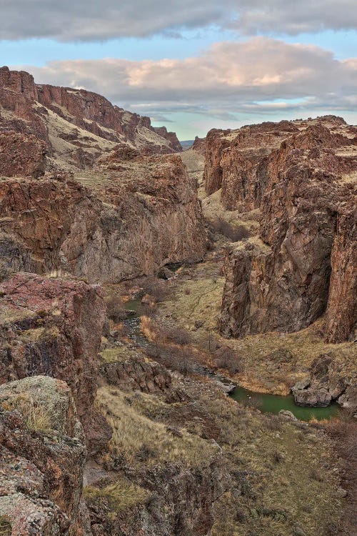 Succor Creek Canyon Tall