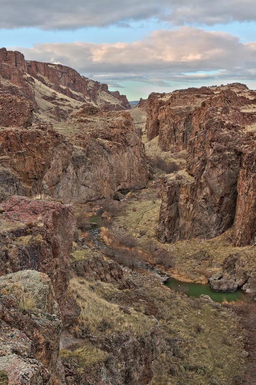 Succor Creek Canyon Tall by Louis Ruth wall art