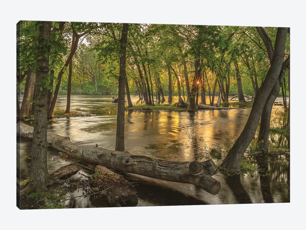 Sunset On Boise River by Louis Ruth 1-piece Canvas Art