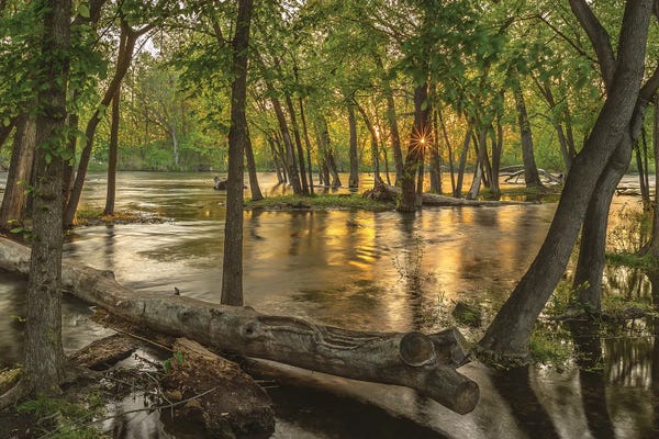 Louis Ruth: Sunset On Boise River by Louis Ruth